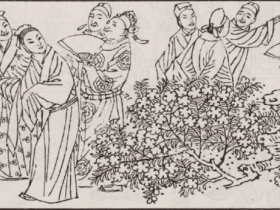 傻逼之后 他放了鹦鹉 鹦鹉谢过他 变成了一个在病床上侍候他的女人