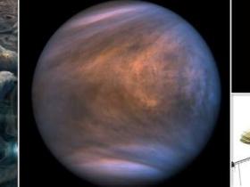 金星云中的水活动太低 无法维持生命 木星云比金星云更适合居住