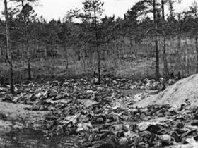 卡廷森林中的事件之谜？苏联屠杀了数万波兰军队来掩盖真相