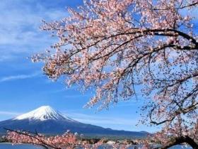 日本为什么不怕自己国家沉没?原来后路已经铺好了 方法太离谱了!