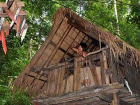 我国西南地区的原始部落,克木人一生住树上,繁衍方式令人意外