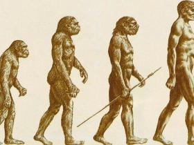 史上最大骗局:达尔文进化论