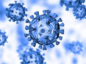 新冠肺炎Omicron病毒在皮肤上可存活8天 证实快递即可传播